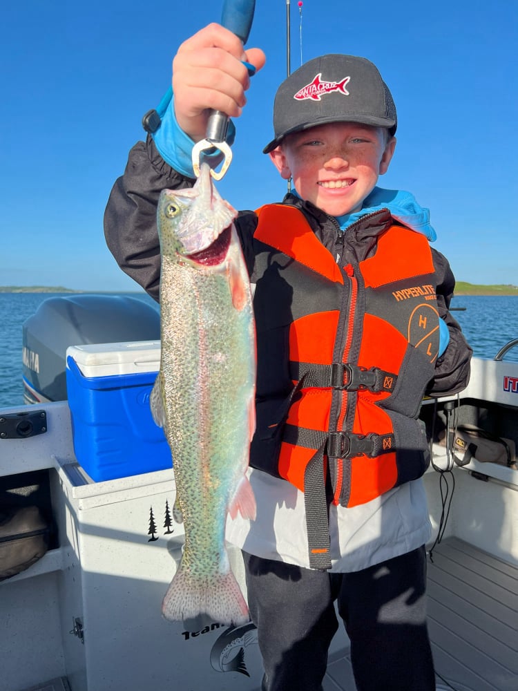 Camanche Trout