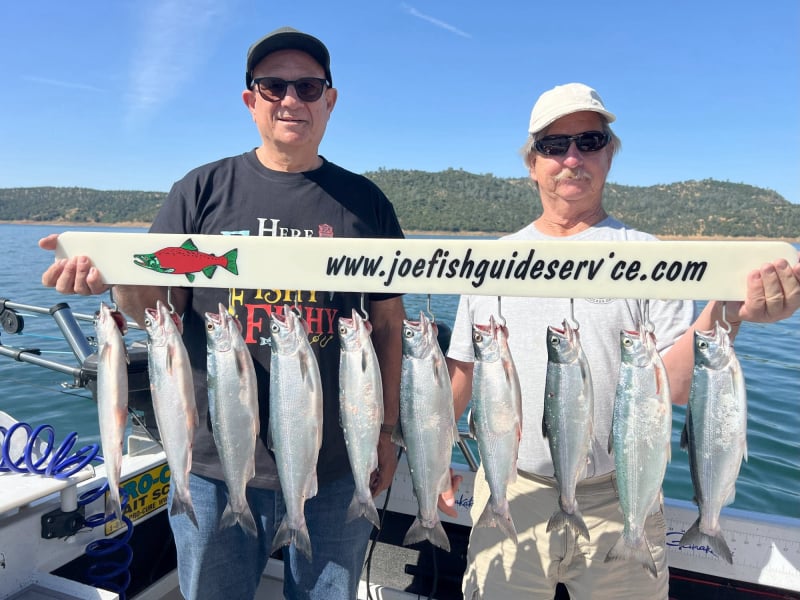 New Melones Kokanee