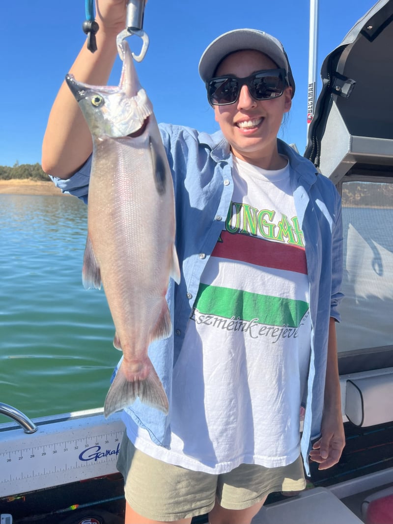 New Melones Kokanee